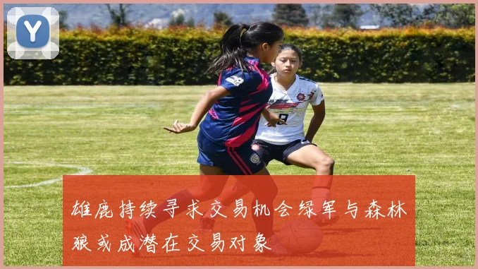 雄鹿持续寻求交易机会绿军与森林狼或成潜在交易对象