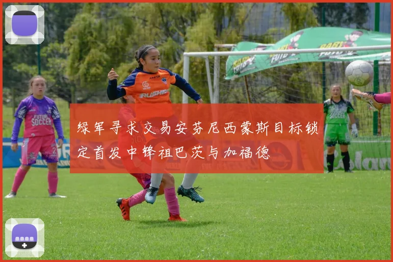 绿军寻求交易安芬尼西蒙斯目标锁定首发中锋祖巴茨与加福德